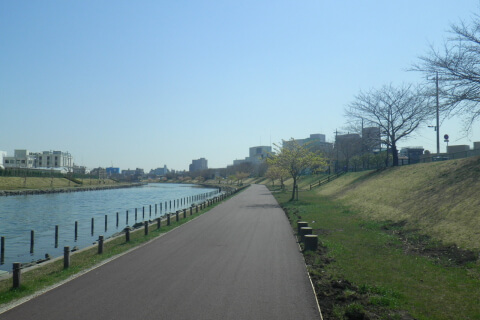 旧中川水辺公園整備工事